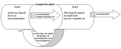 Hoe werkt ADHD